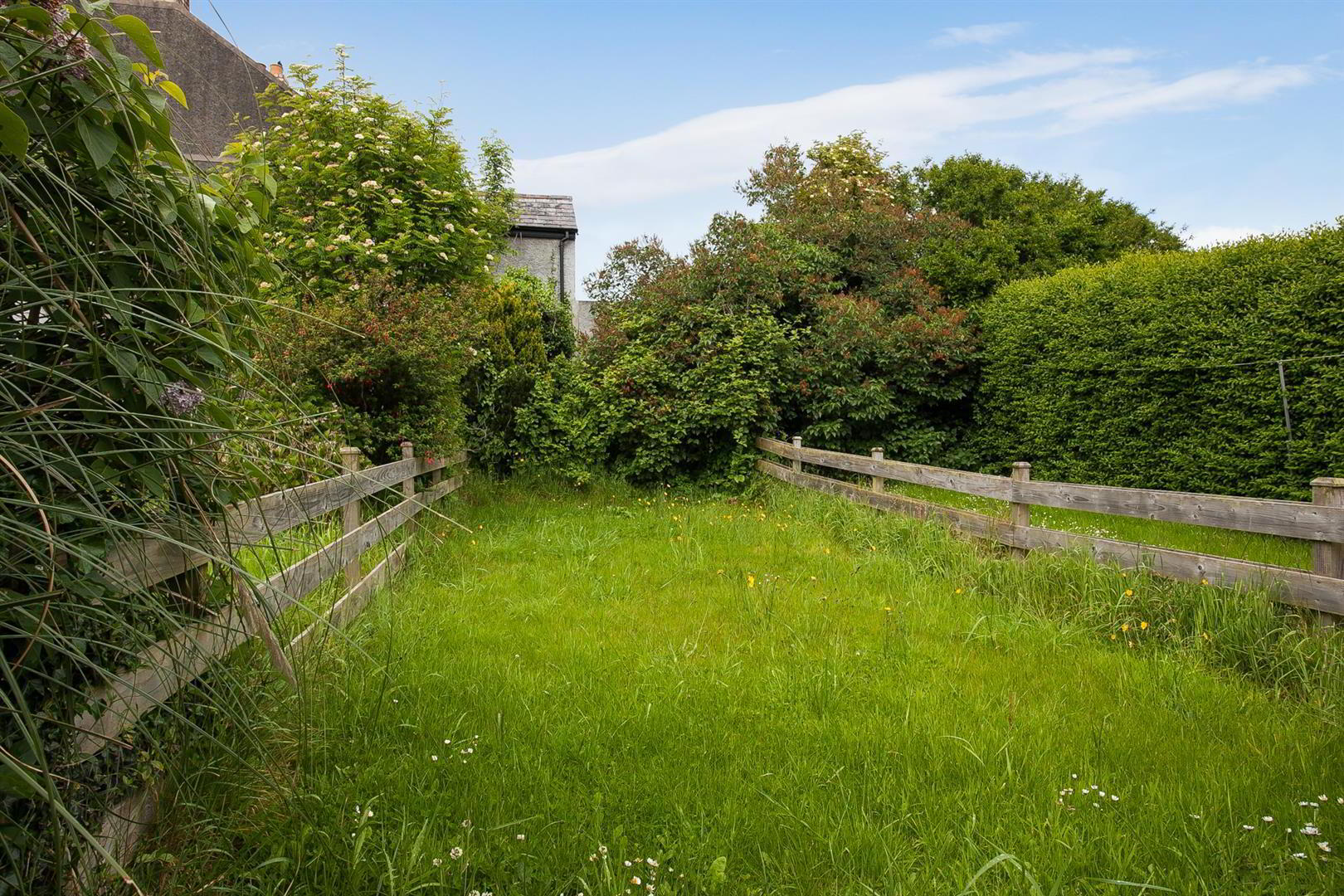 85 Balfour Street 11 of 12