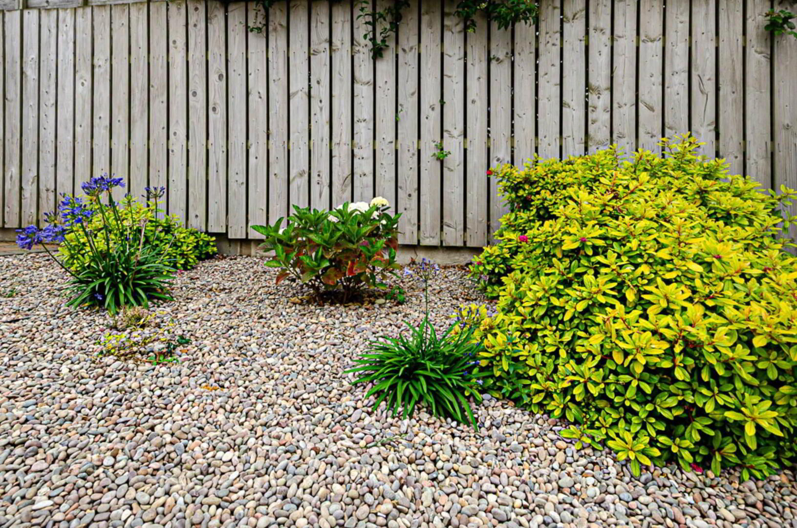 49 Lismain Street 2 of 22
