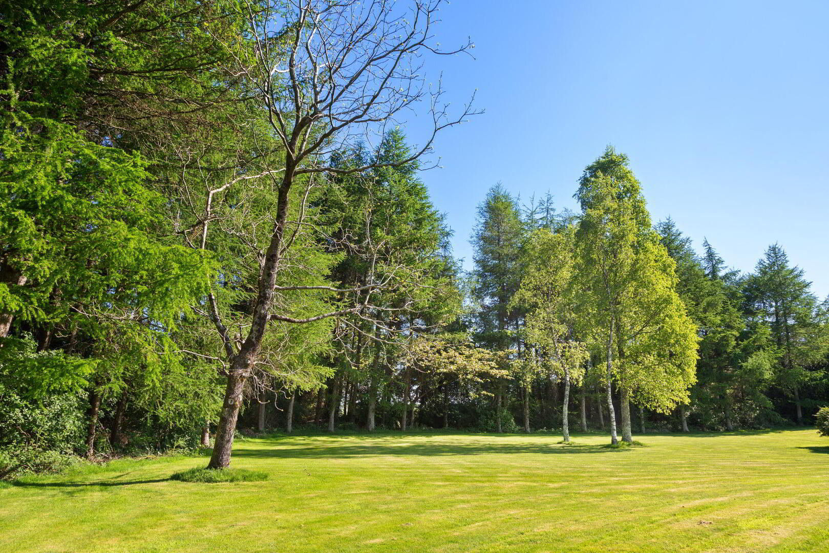 Chatsworth Lodge (with, C. 3 Acres) 33 of 47