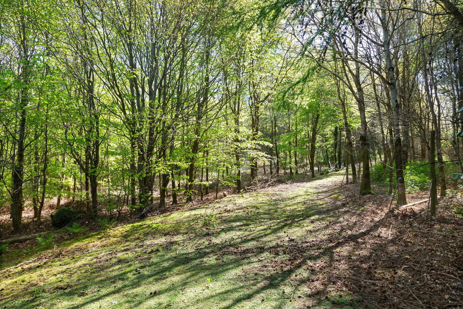 Chatsworth Lodge (with, C. 3 Acres) 43 of 47