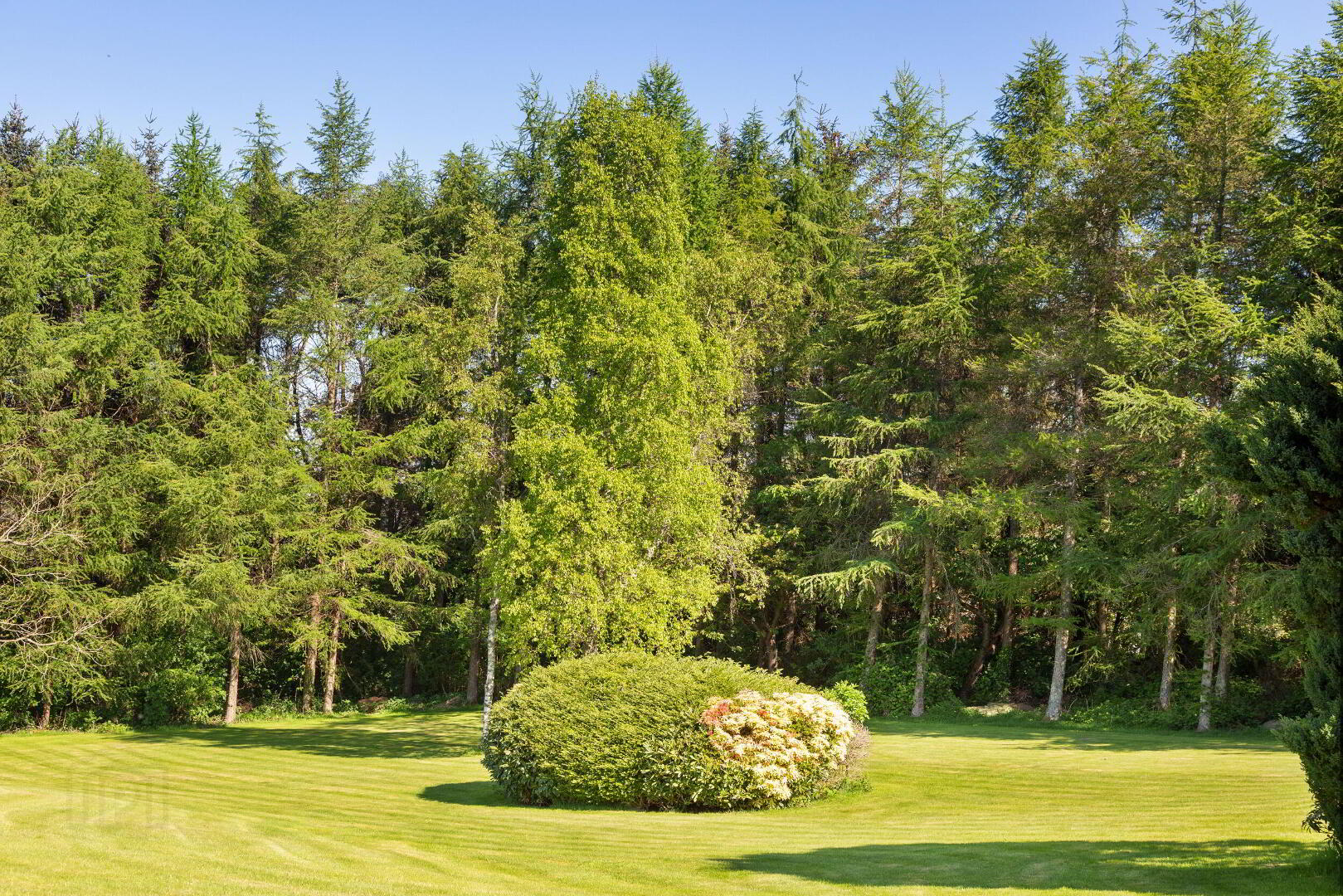 Chatsworth Lodge (with, C. 3 Acres) 41 of 47