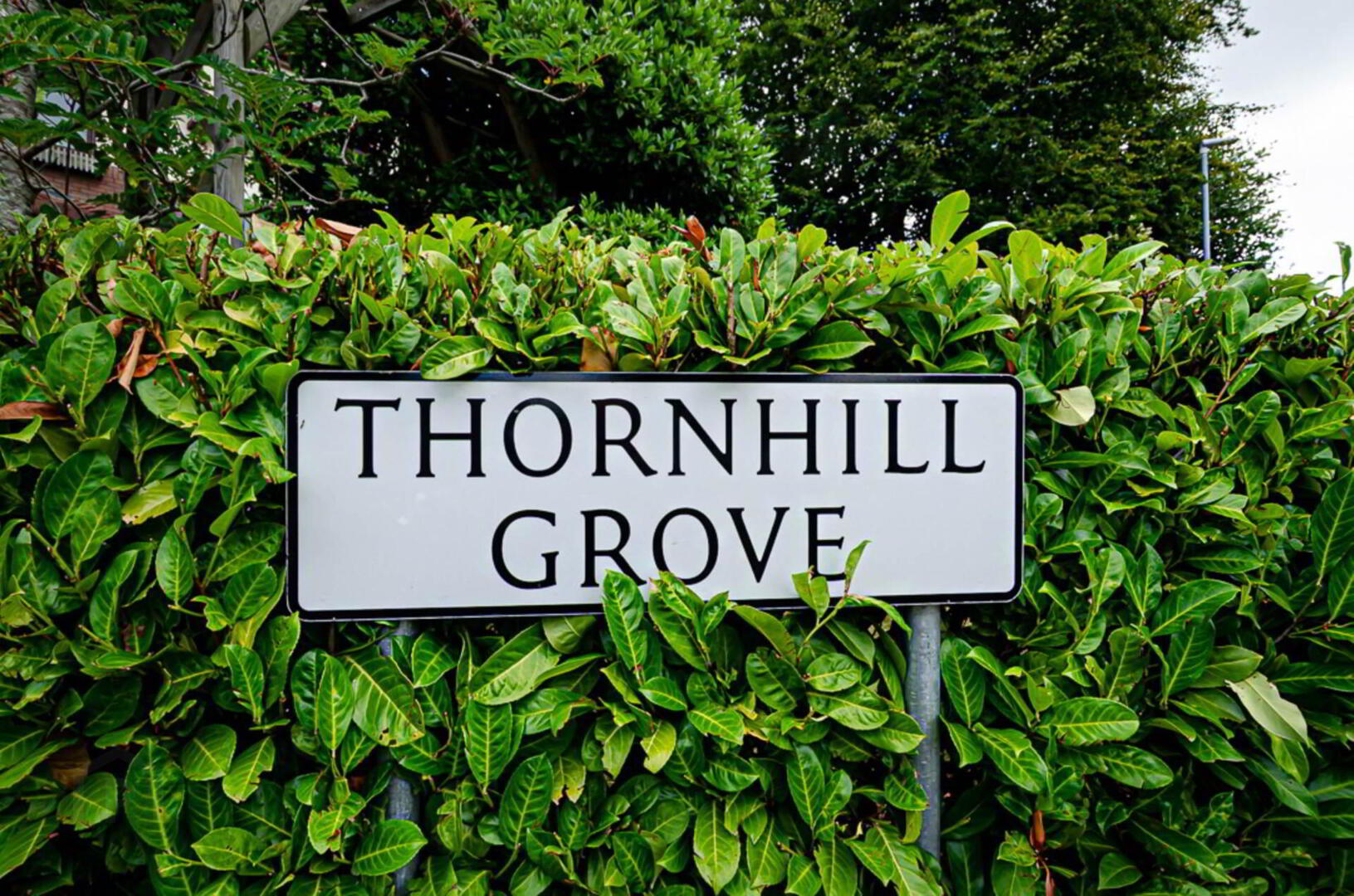 2 Thornhill Grove 2 of 60