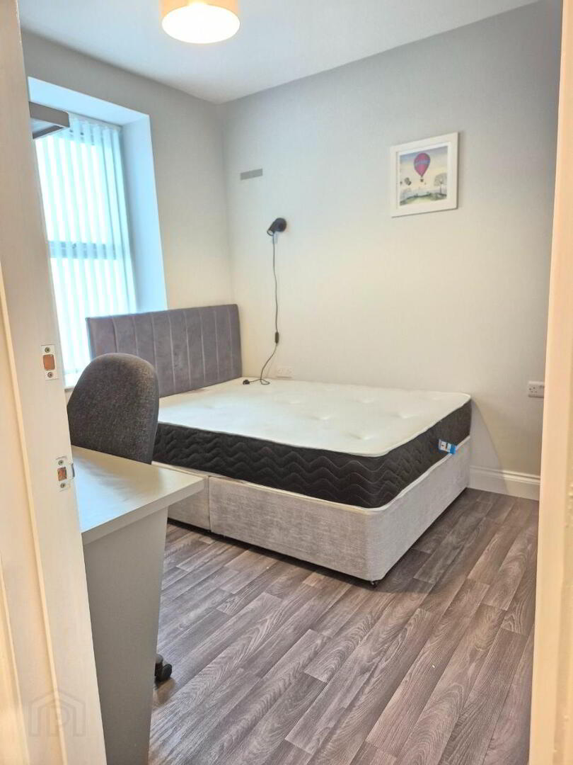 **student Rental** 8 of 13