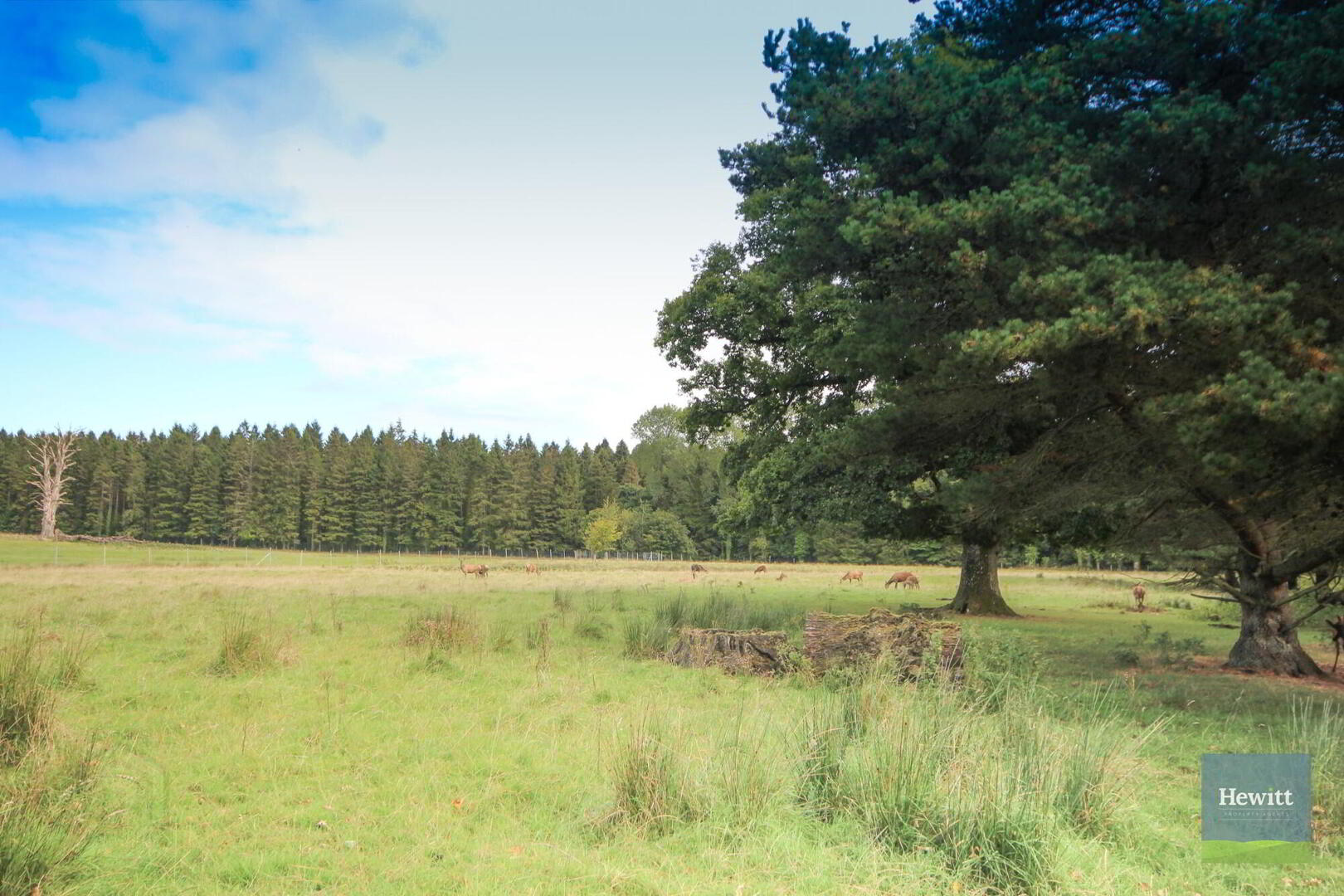 4e Gosford Castle 43 of 53