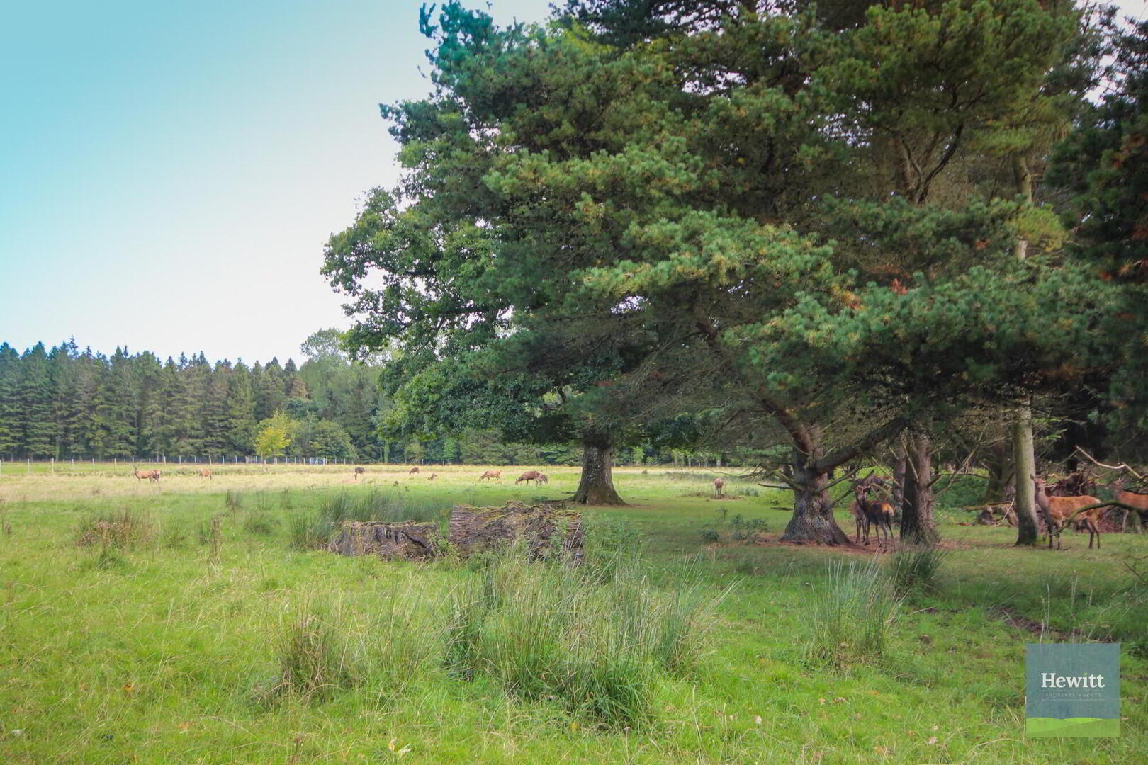 4e Gosford Castle 42 of 53