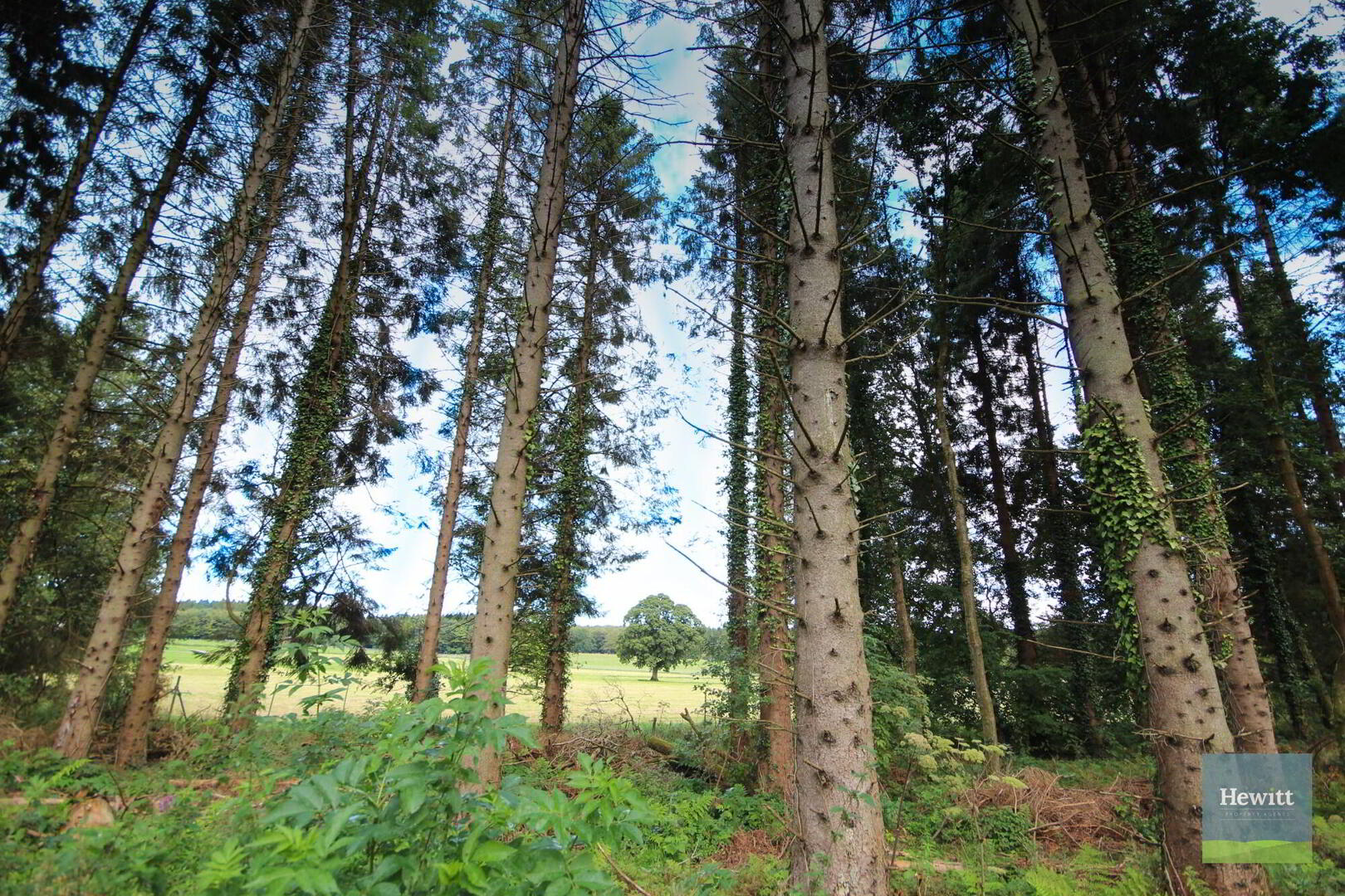 4e Gosford Castle 45 of 53