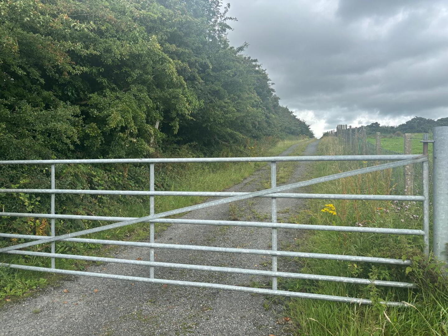 Agricultural Ground, Mountain Road 7 of 9