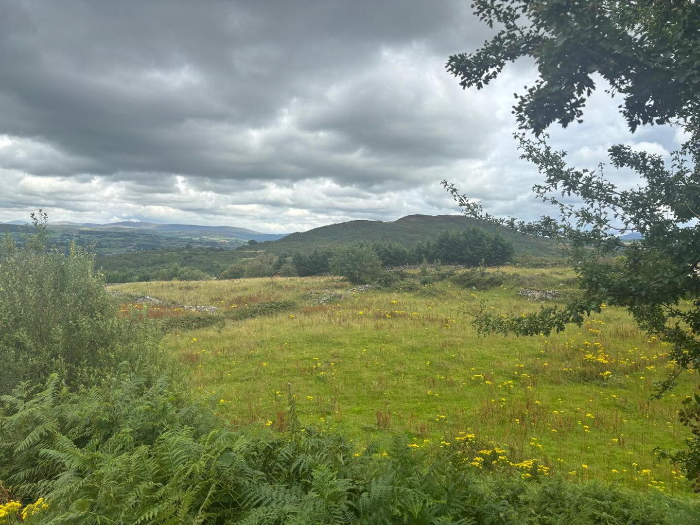 Agricultural Ground, Mountain Road 1 of 9