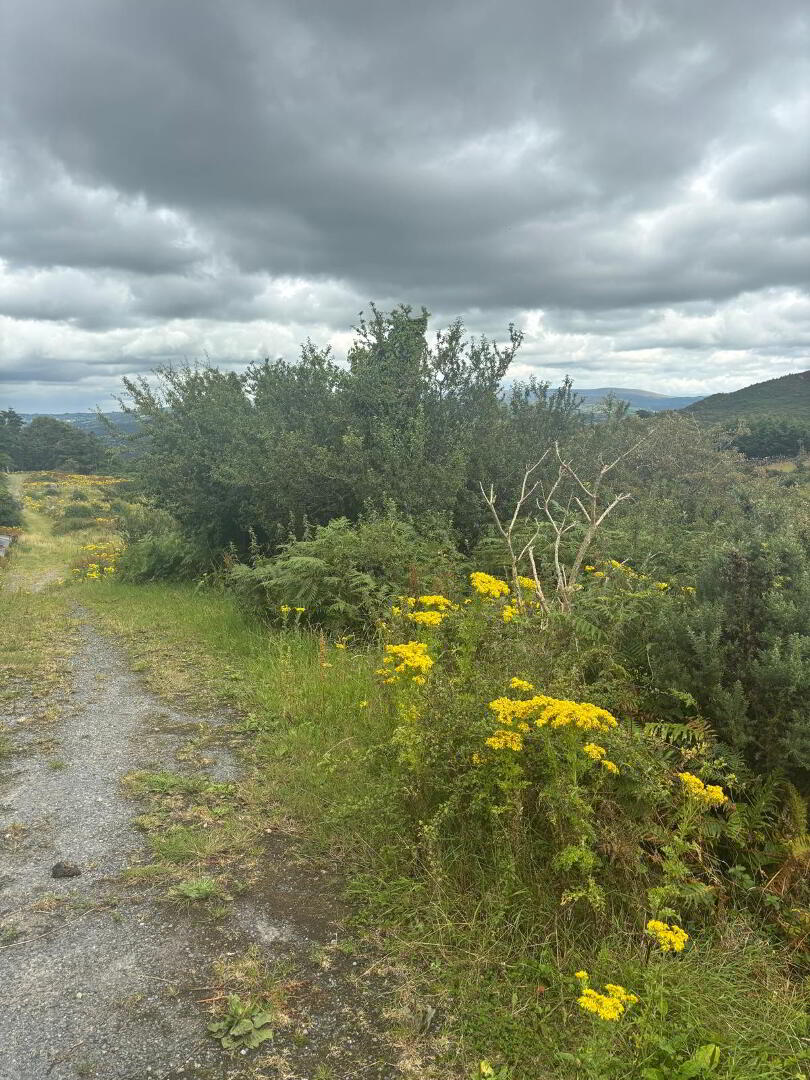 Agricultural Ground, Mountain Road 5 of 9
