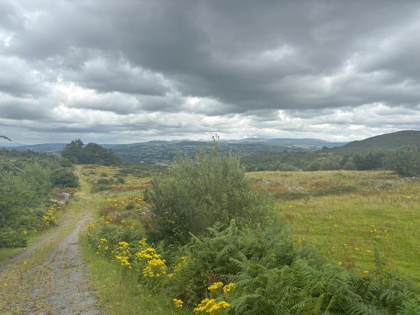 Agricultural Ground, Mountain Road 6 of 9