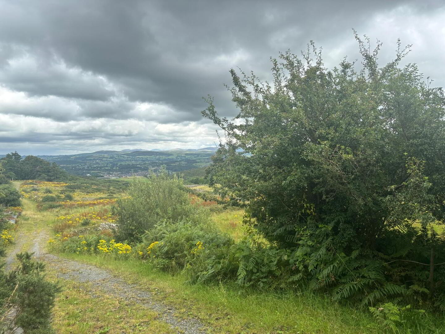 Agricultural Ground, Mountain Road 8 of 9