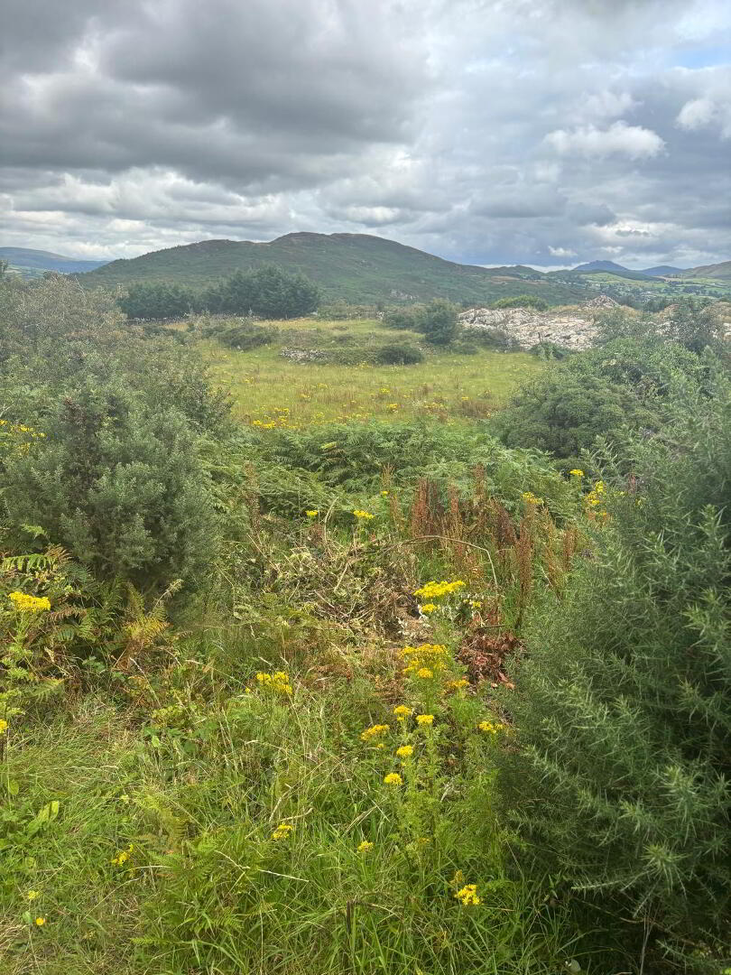 Agricultural Ground, Mountain Road 9 of 9