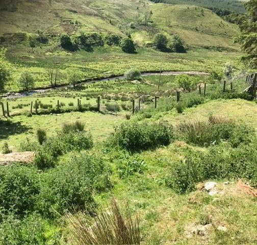 'Carrowoaghtragh', Glenelly Road 3 of 7