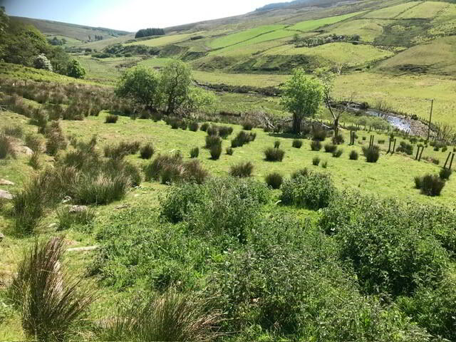 'Carrowoaghtragh', Glenelly Road 6 of 7