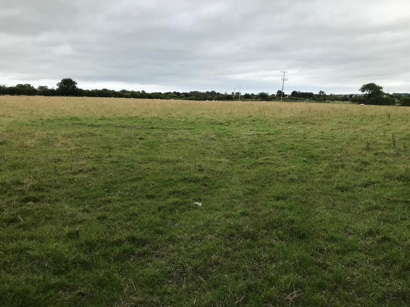 'The Curragh', 267 Moyarget Road 11 of 16