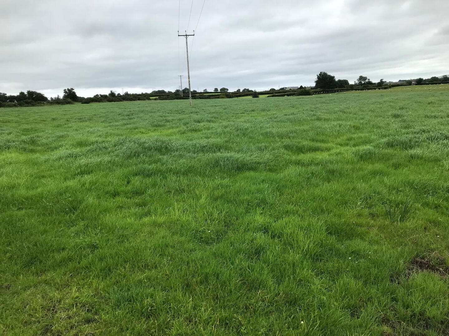 'The Curragh', 267 Moyarget Road 13 of 16