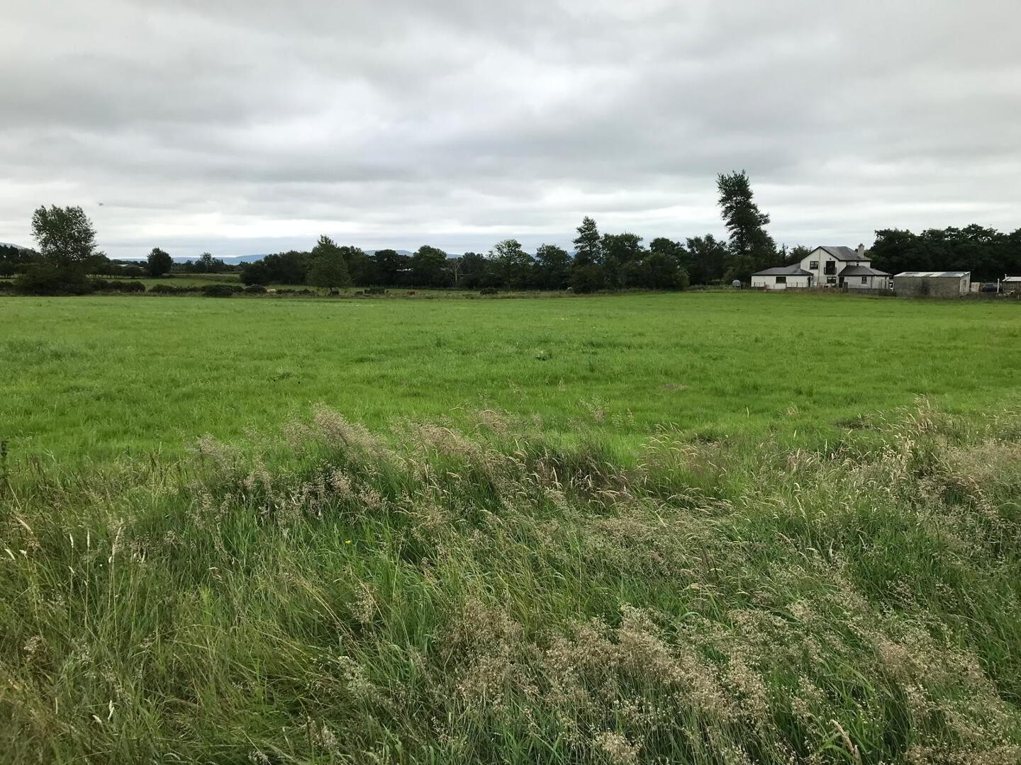 'The Curragh', 267 Moyarget Road 15 of 16