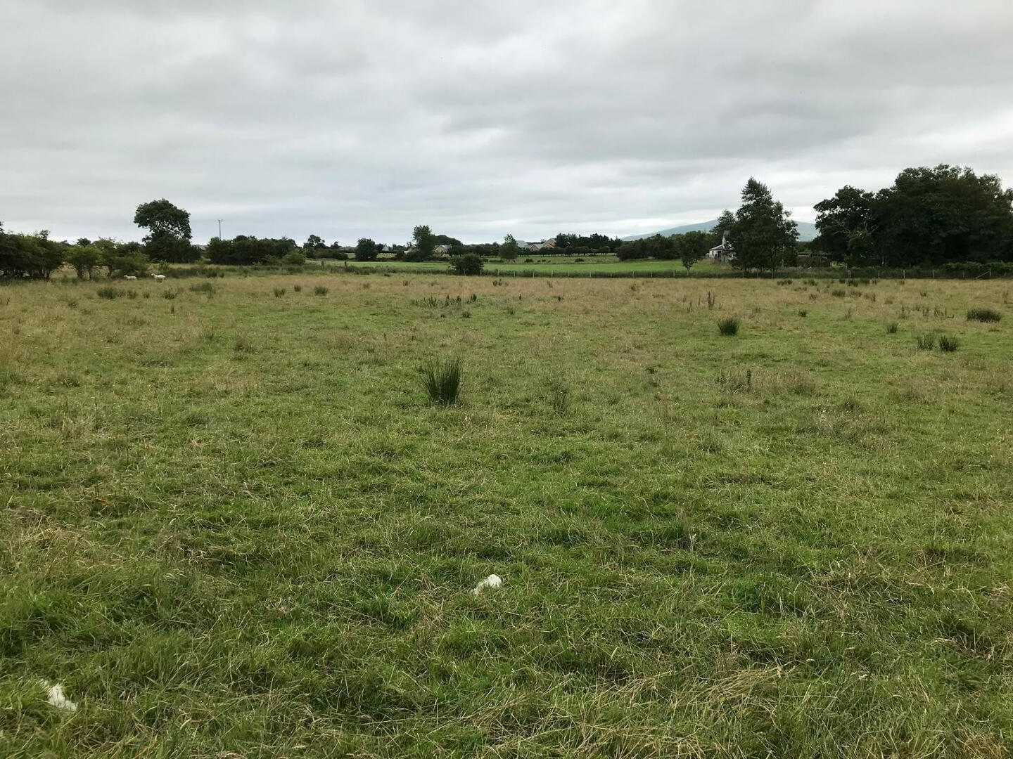 'The Curragh', 267 Moyarget Road 16 of 16