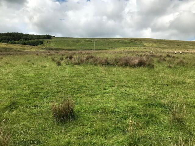 Old Cushendun Road 3 of 6