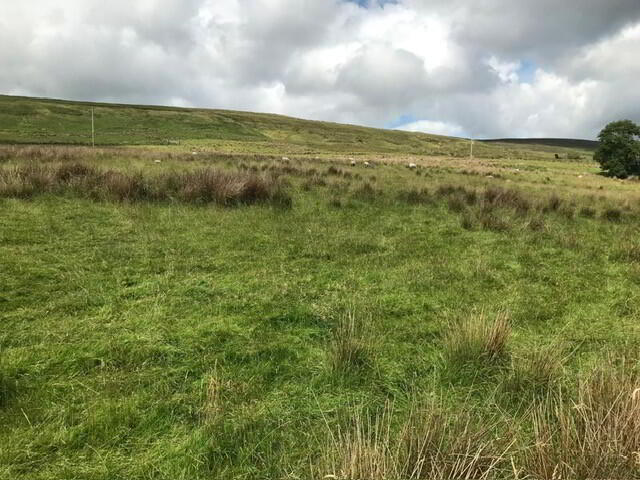 Old Cushendun Road 4 of 6