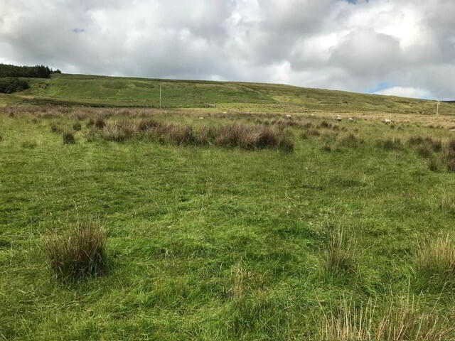 Old Cushendun Road 5 of 6