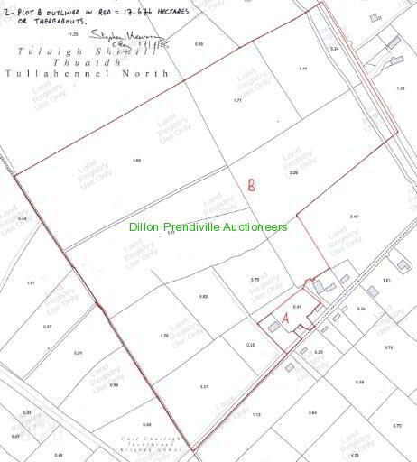49.35 ACRES AT, TULLAHENNEL Co. KERRY Just Added 4 of 5