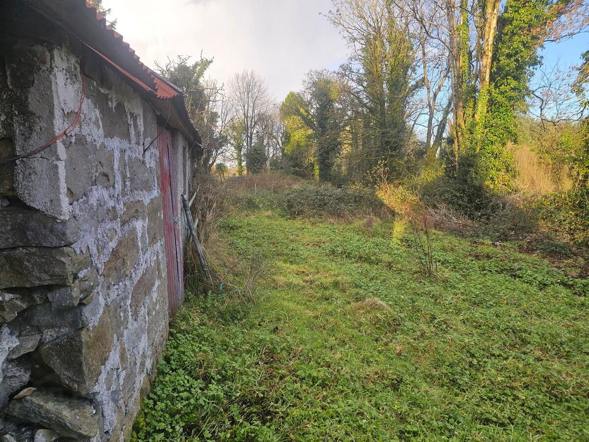 Drumbeagh 7 of 10