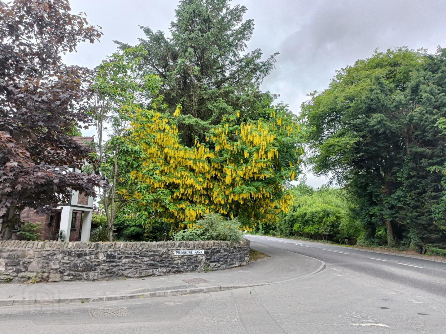 1b Primrose Park 68 of 68