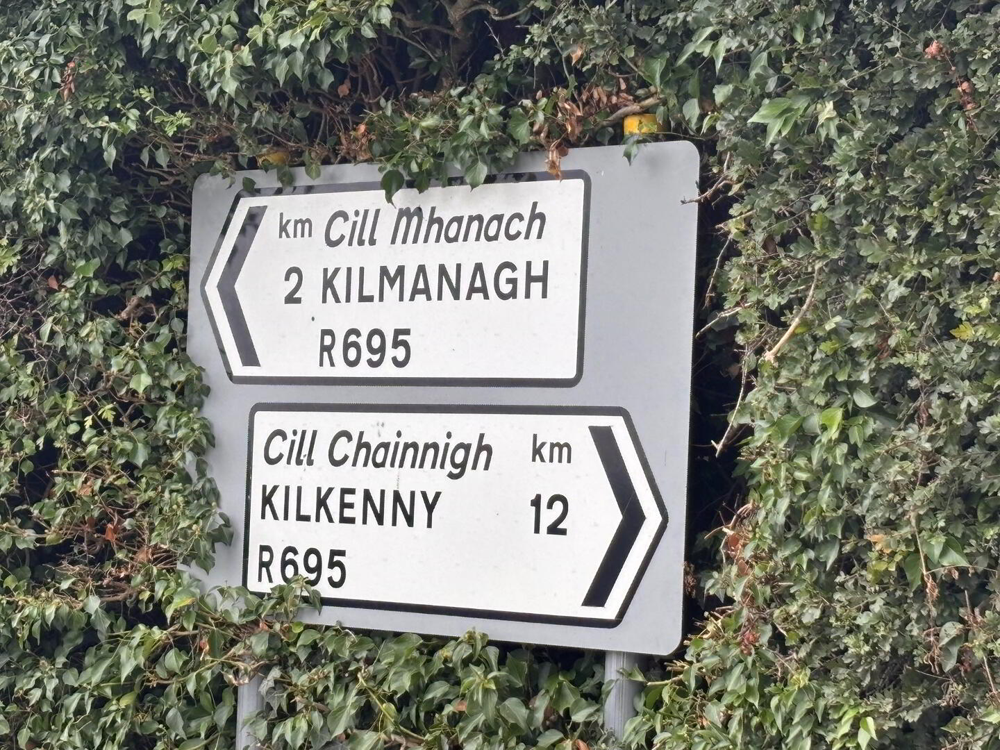 Ballykeeffe 24 of 28
