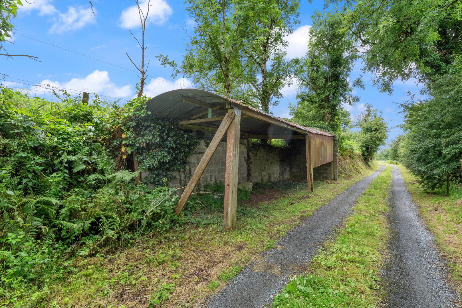 House On, C.56 Acres Ardara 8 of 24