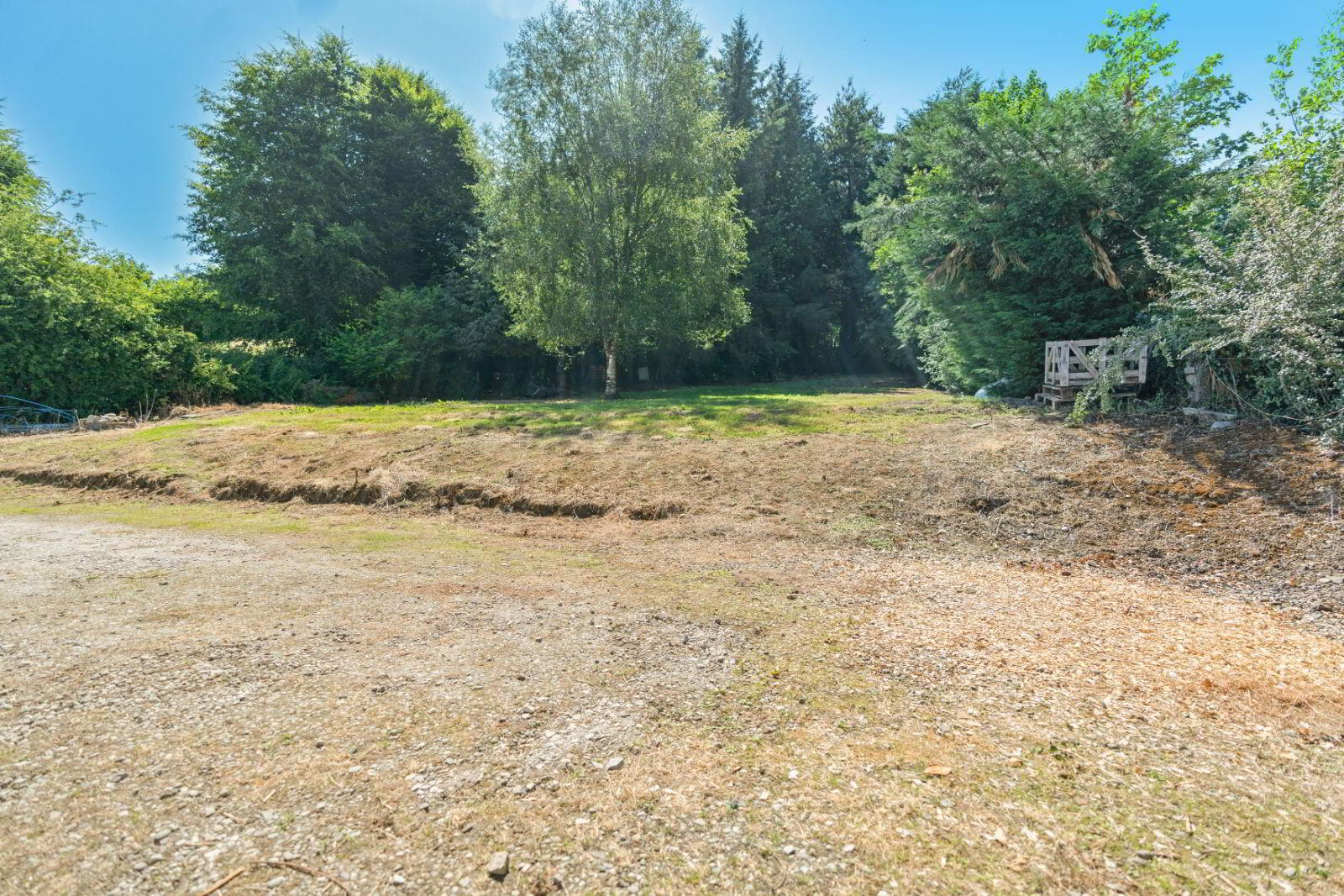 Wood Road 14 of 14