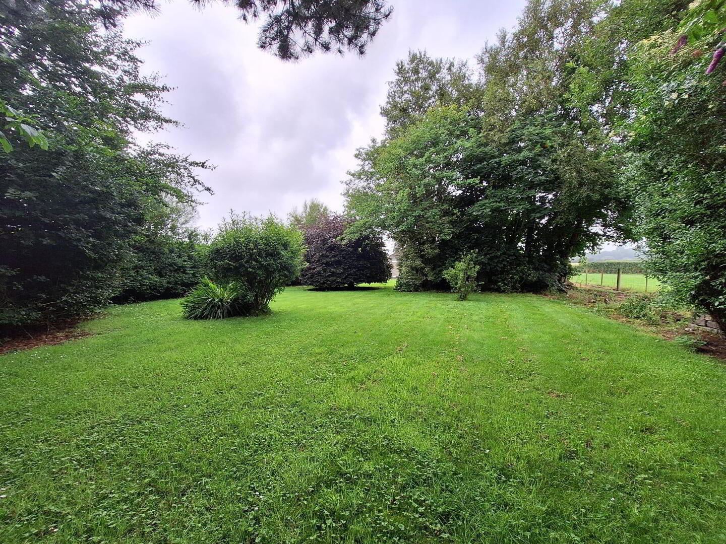 96 Gracehill Road 6 of 8
