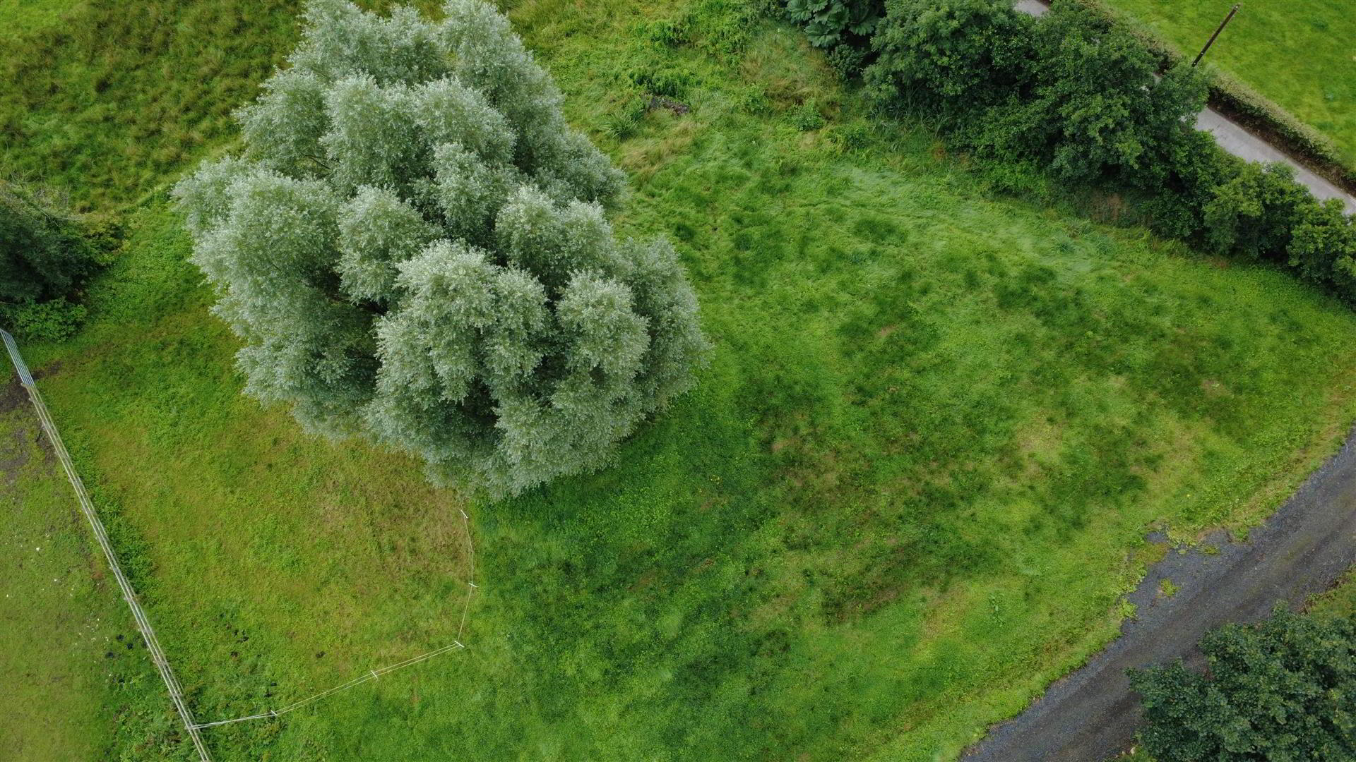 Equestrian Yard & Paddock, 51a Rankinstown Road 17 of 18