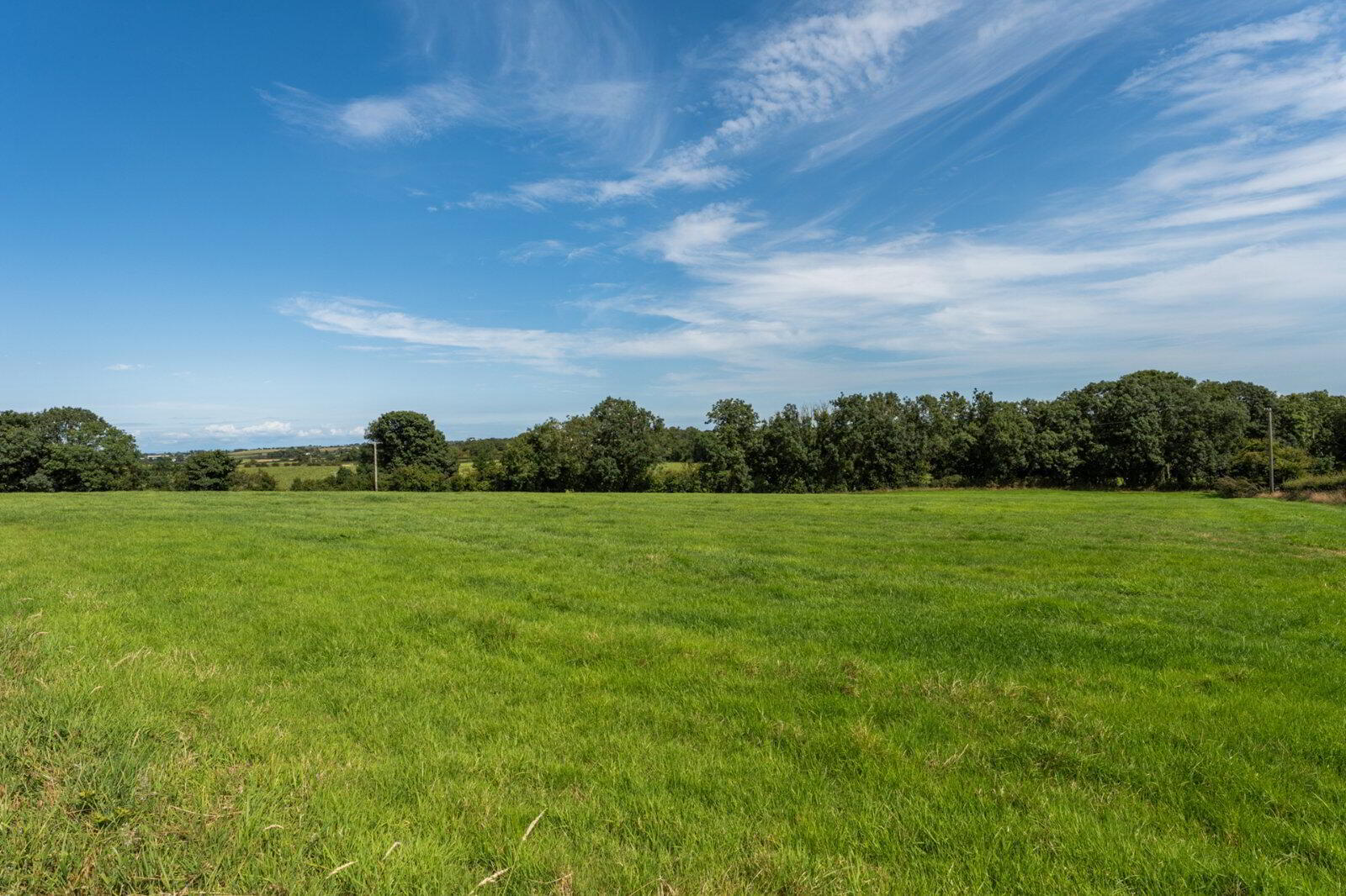 18 Gransha Road South 46 of 51