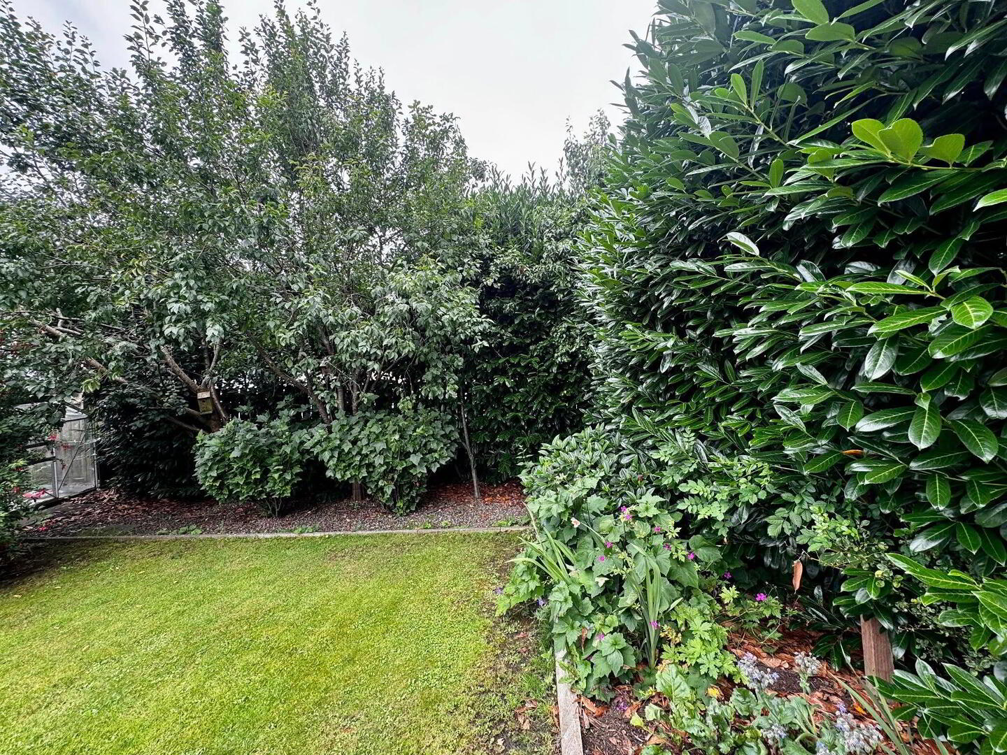 1 Castlewood Crescent 44 of 46
