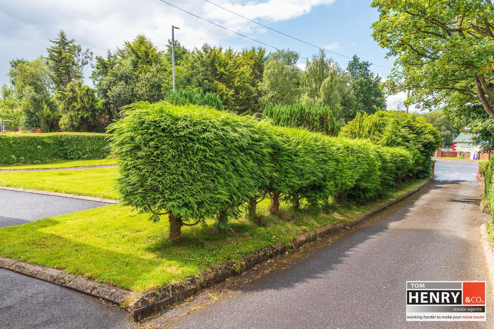 "Ledlie Villa", 60 Dungannon Road 47 of 54