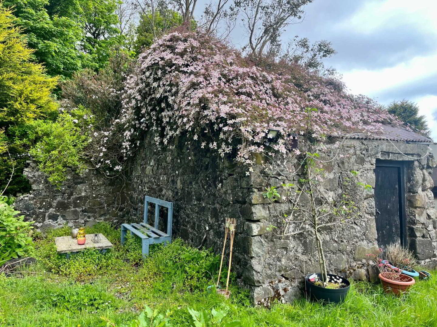 61 Starbog Road 13 of 18
