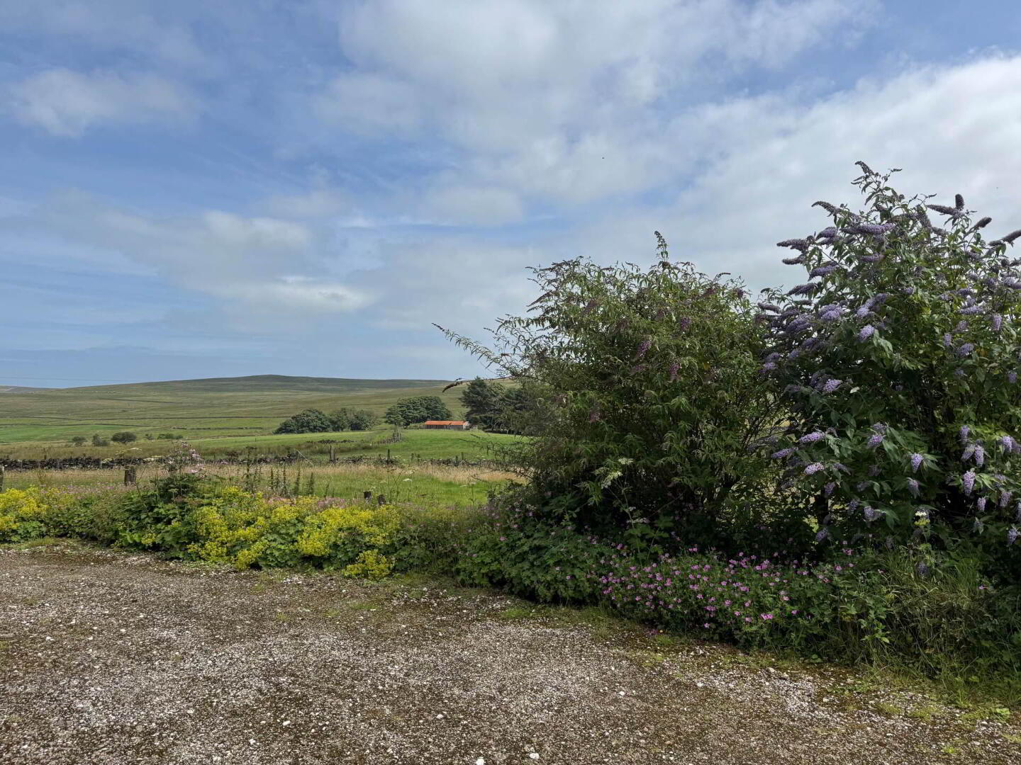61 Starbog Road 18 of 18