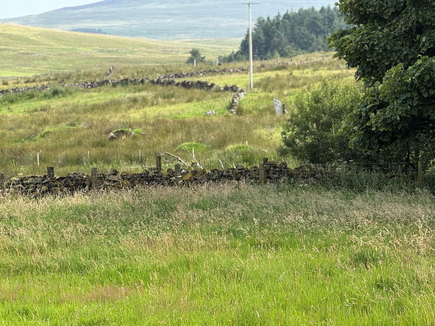61 Starbog Road 17 of 18