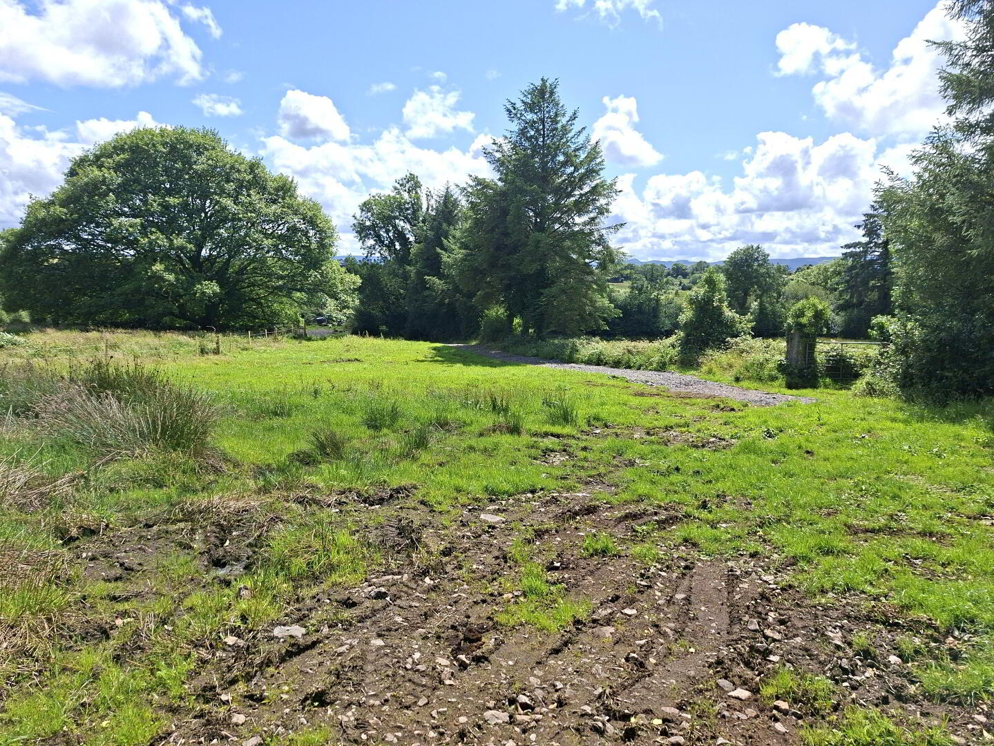 Derrykillew 4 of 5