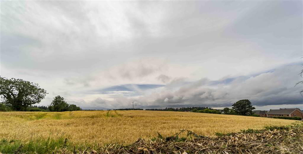 21 Comber Road 54 of 54