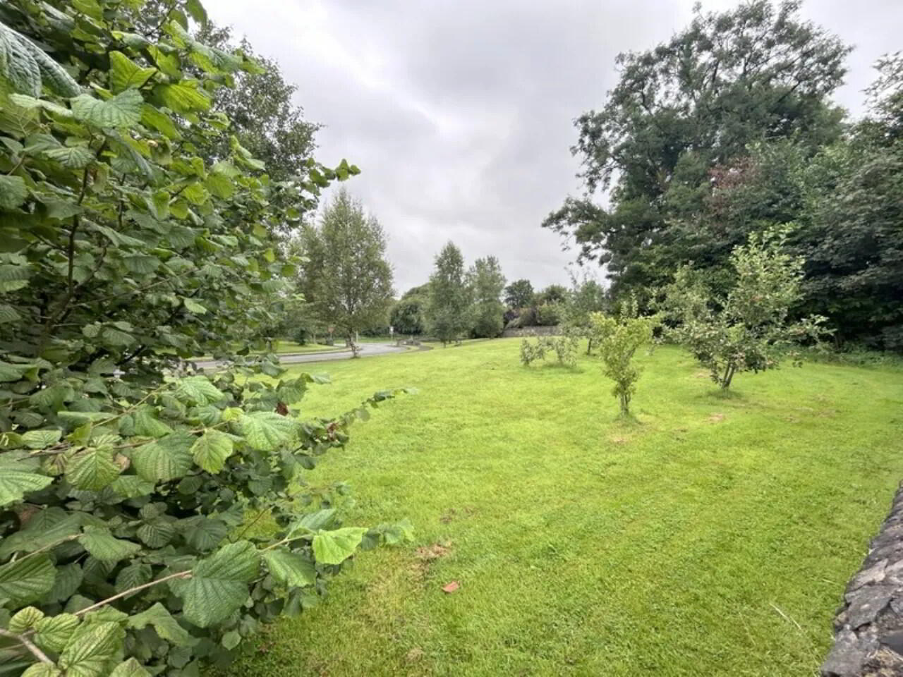 25 Beechpark 20 of 20