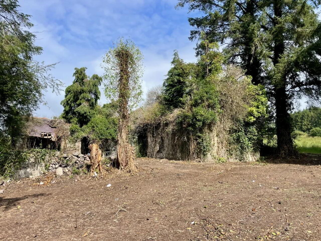 Site, With Derelict Cottage 4 of 10