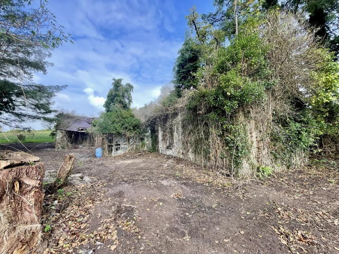 Site, With Derelict Cottage 5 of 10