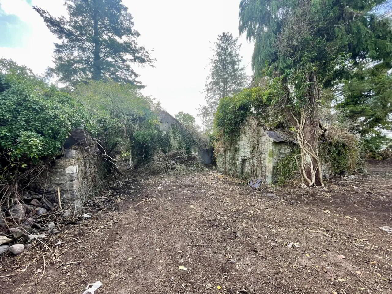 Site, With Derelict Cottage 7 of 10