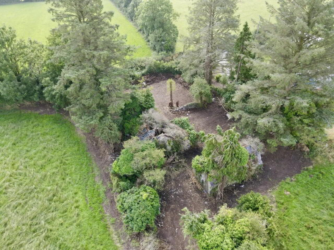 Site, With Derelict Cottage 8 of 10