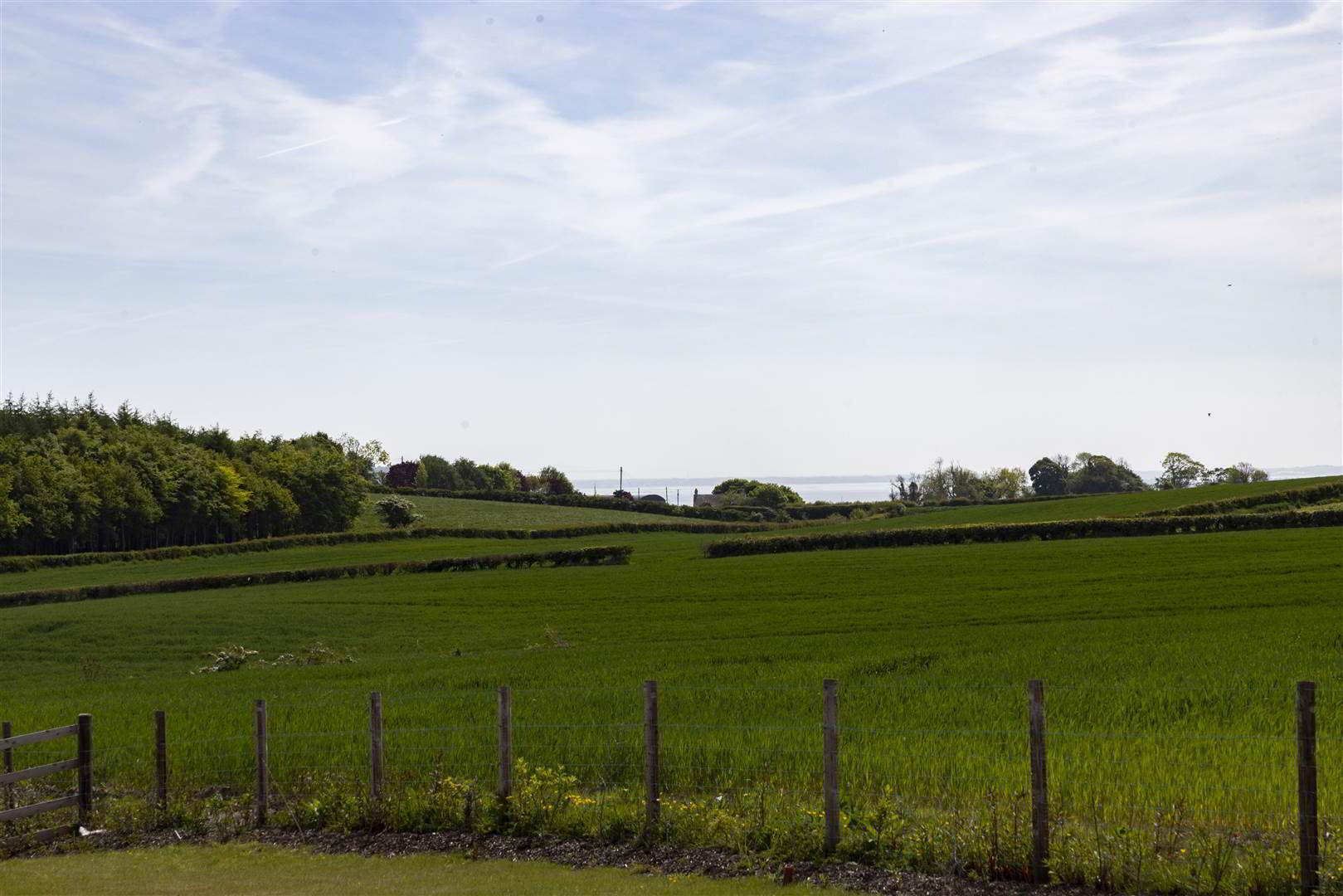 1, Prime Agricultural Land @, 42 Moss Road 6 of 8