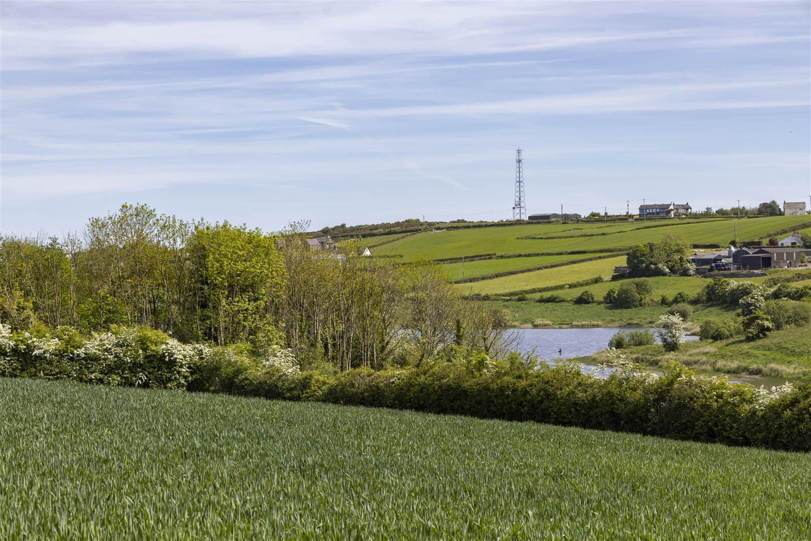 2, Prime Agricultural Land @, 42 Moss Road 4 of 7