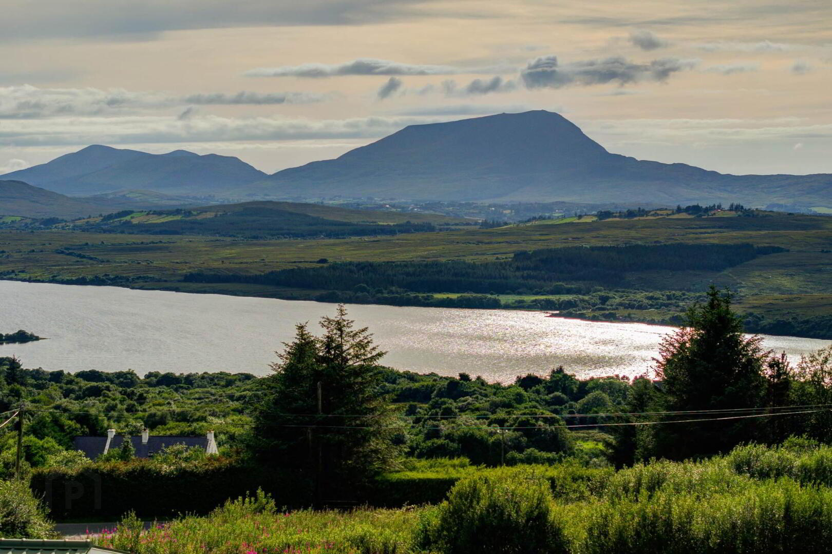 Glen 12 of 56