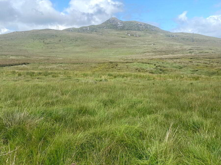 Shallogan More 1 of 6